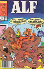 ALF Comic Collection Digital Set: Relive the 1980s with Hilarious Adventures!